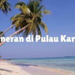 Makanan Penambah Darah: Solusi Lezat untuk Tubuh yang Lebih Fit