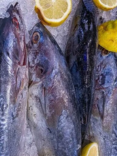 Resep Olahan Ikan Tongkol