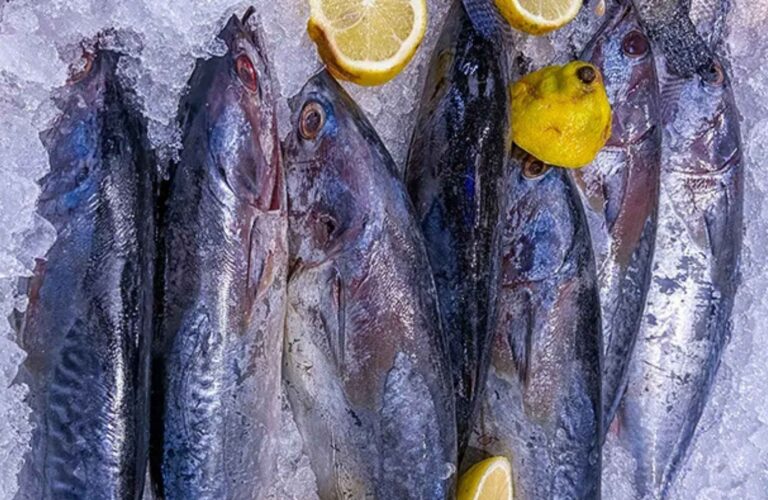Resep Olahan Ikan Tongkol