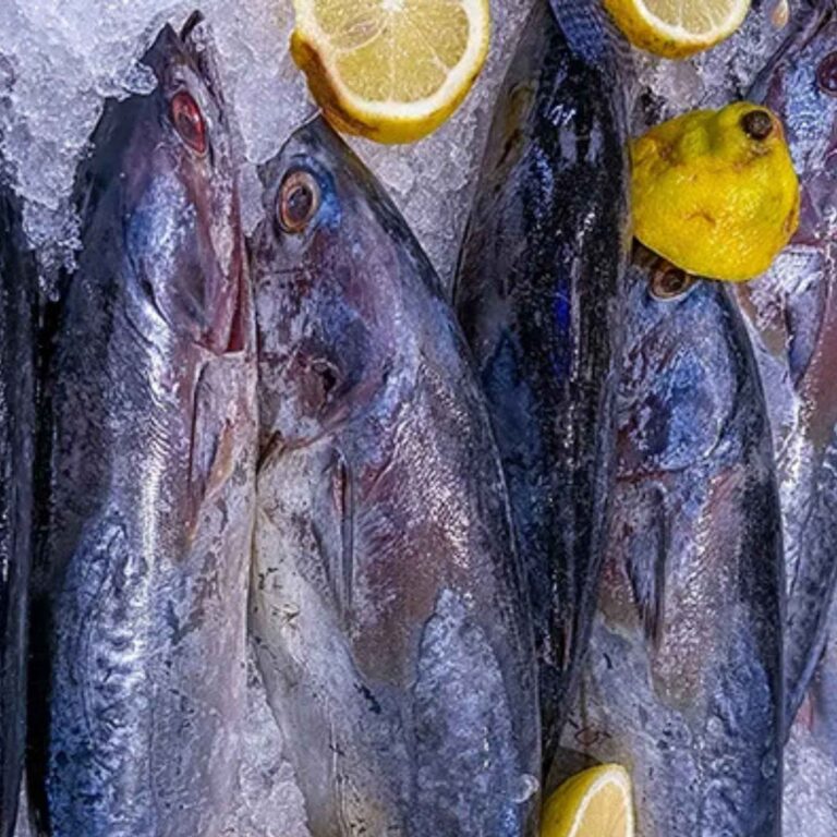 Resep Olahan Ikan Tongkol