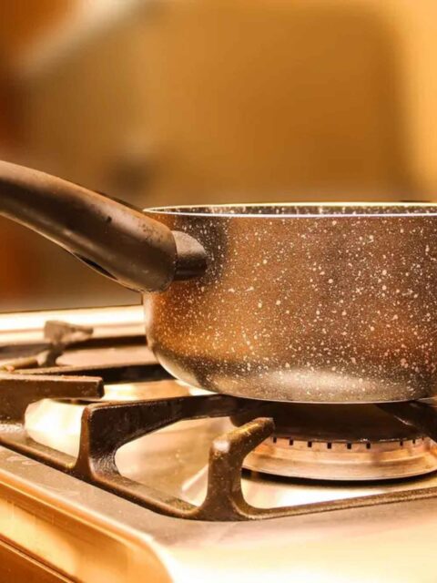Teknik Memasak Boiling