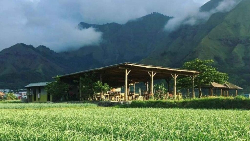 Sensasi Rasa di Dieng: Tempat Makan Wajib Buat Para Pendaki & Penikmat Alam